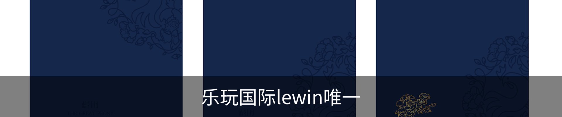 乐玩国际lewin唯一